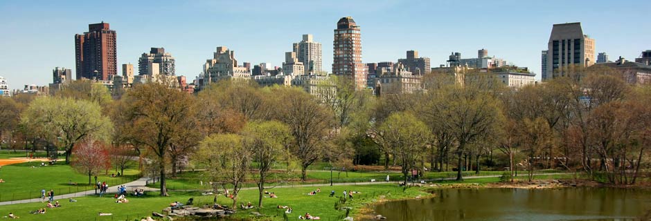 Weddings in New York